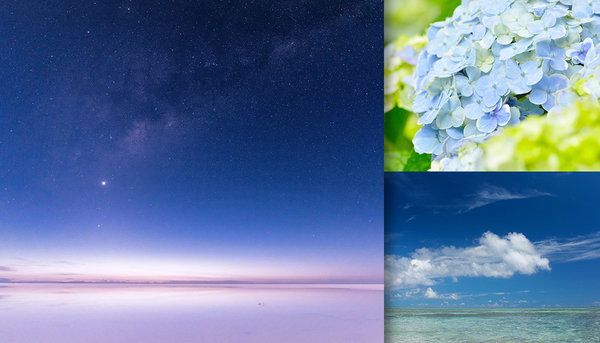 2017年 人気のフリー素材ランキング トップ50