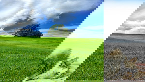 2023年 人気の写真素材ランキング トップ150