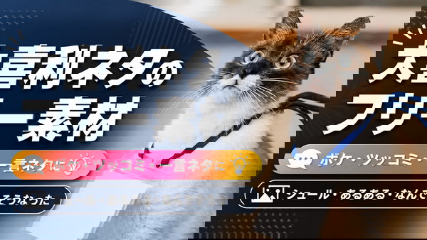 大喜利ネタのフリー素材まとめ