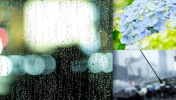 梅雨の写真素材まとめ｜紫陽花・雨のフリー素材