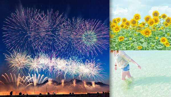 夏の写真素材まとめ｜向日葵・花火のフリー素材