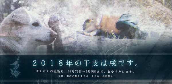 2017年もありがとうございました。運営7年目の一年を振り返る