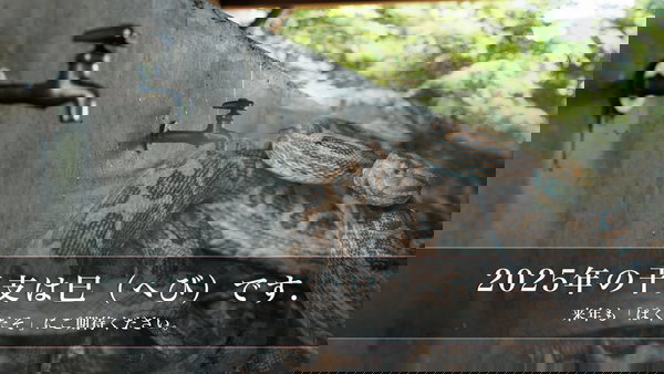 2024年もご利用ありがとうございました