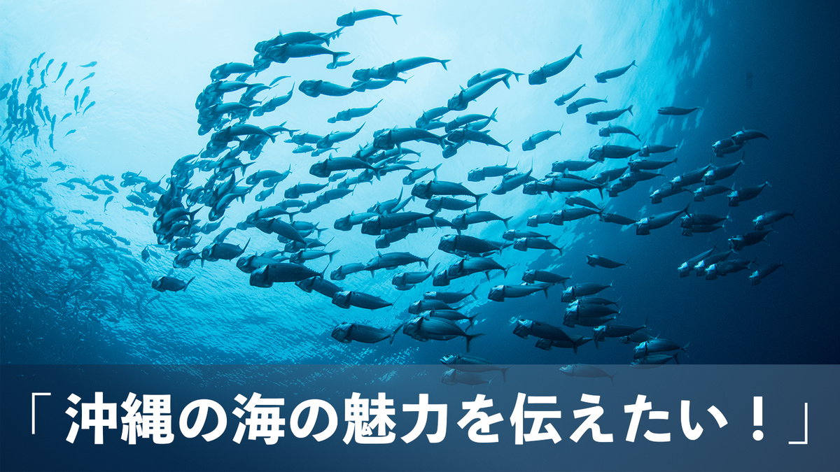 沖縄の海の魅力を伝えたい！　水納島や辺野古基地埋め立て近くの珊瑚、沈没船USSエモンズなどの写真素材