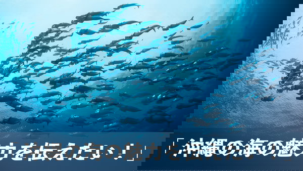 沖縄の海の魅力を伝えたい！　水納島や辺野古基地埋め立て近くの珊瑚、沈没船USSエモンズなどの写真素材