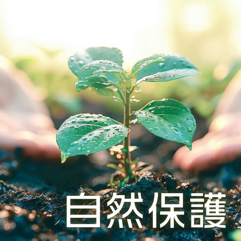 自然保護のAI画像素材