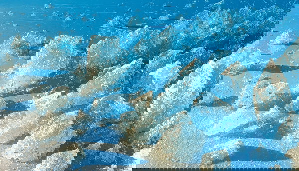 氷に関する写真