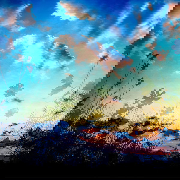 作品のカテゴリ