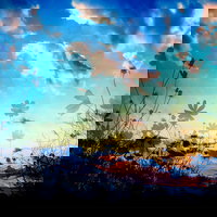 作品に関する写真