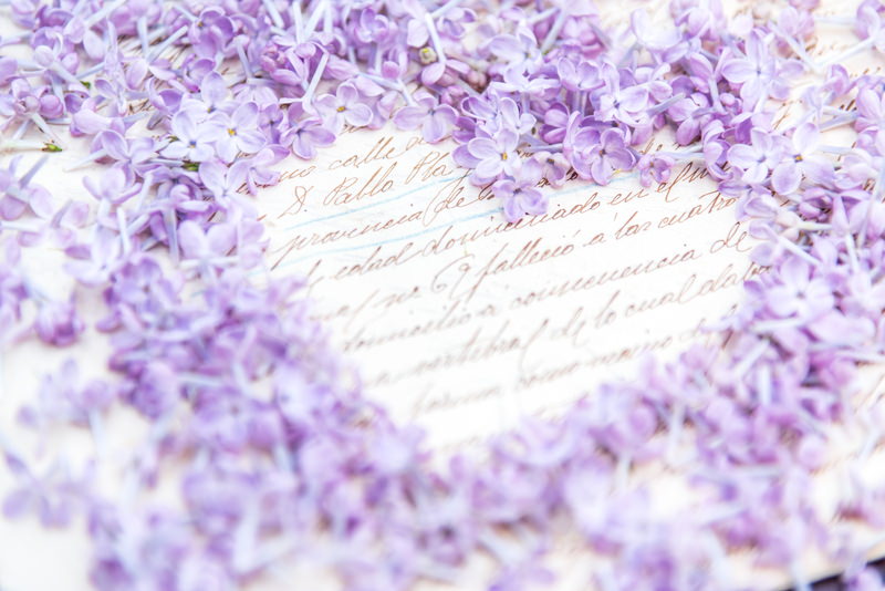 ライラックの花びらで作ったハートの写真素材