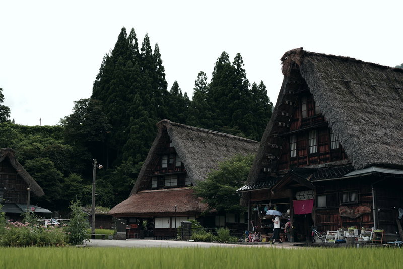 菅沼集落の大きな三角の屋根がある合掌造りの家の写真素材