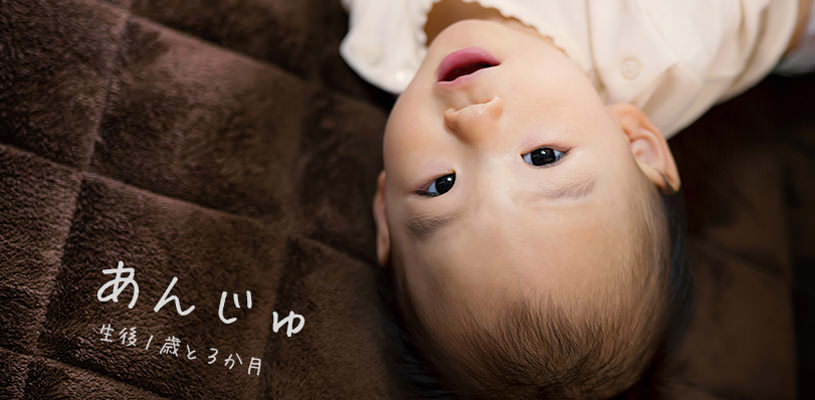 生後1歳の女の子「あんじゅ」の赤ちゃん写真素材