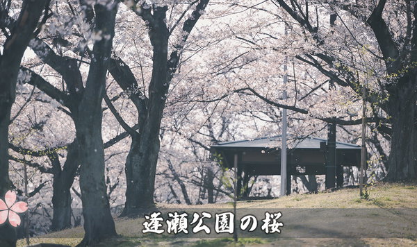 逢瀬公園