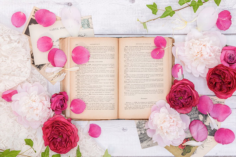 古書を囲う薔薇の花と花びらの写真素材