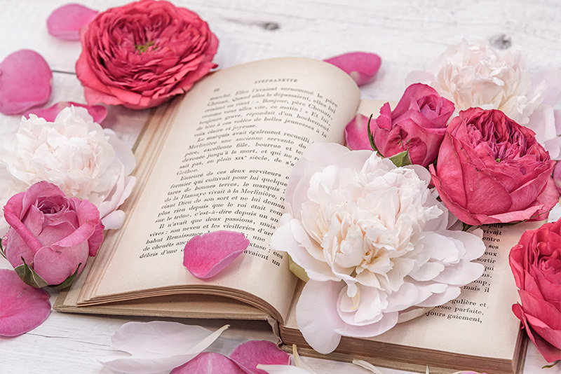 薔薇と花びら積もる読みかけの古書の写真素材