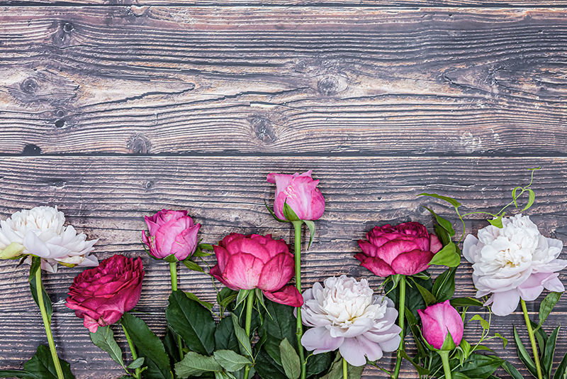 フローリングに並べた薔薇と芍薬の写真素材
