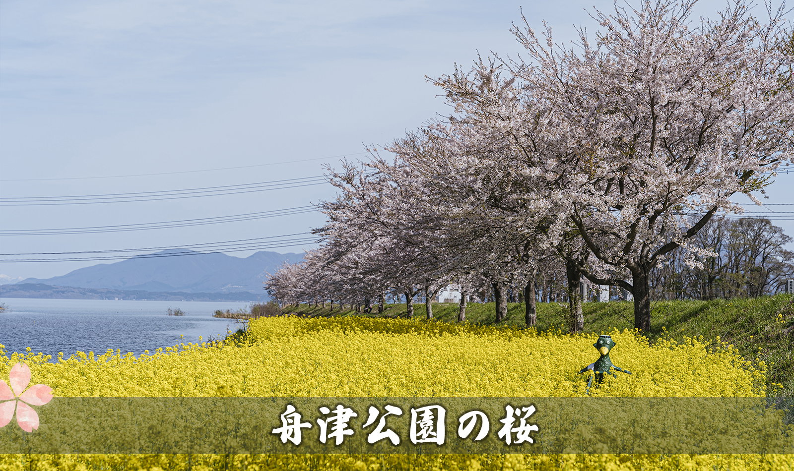舟津公園