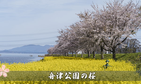 舟津公園