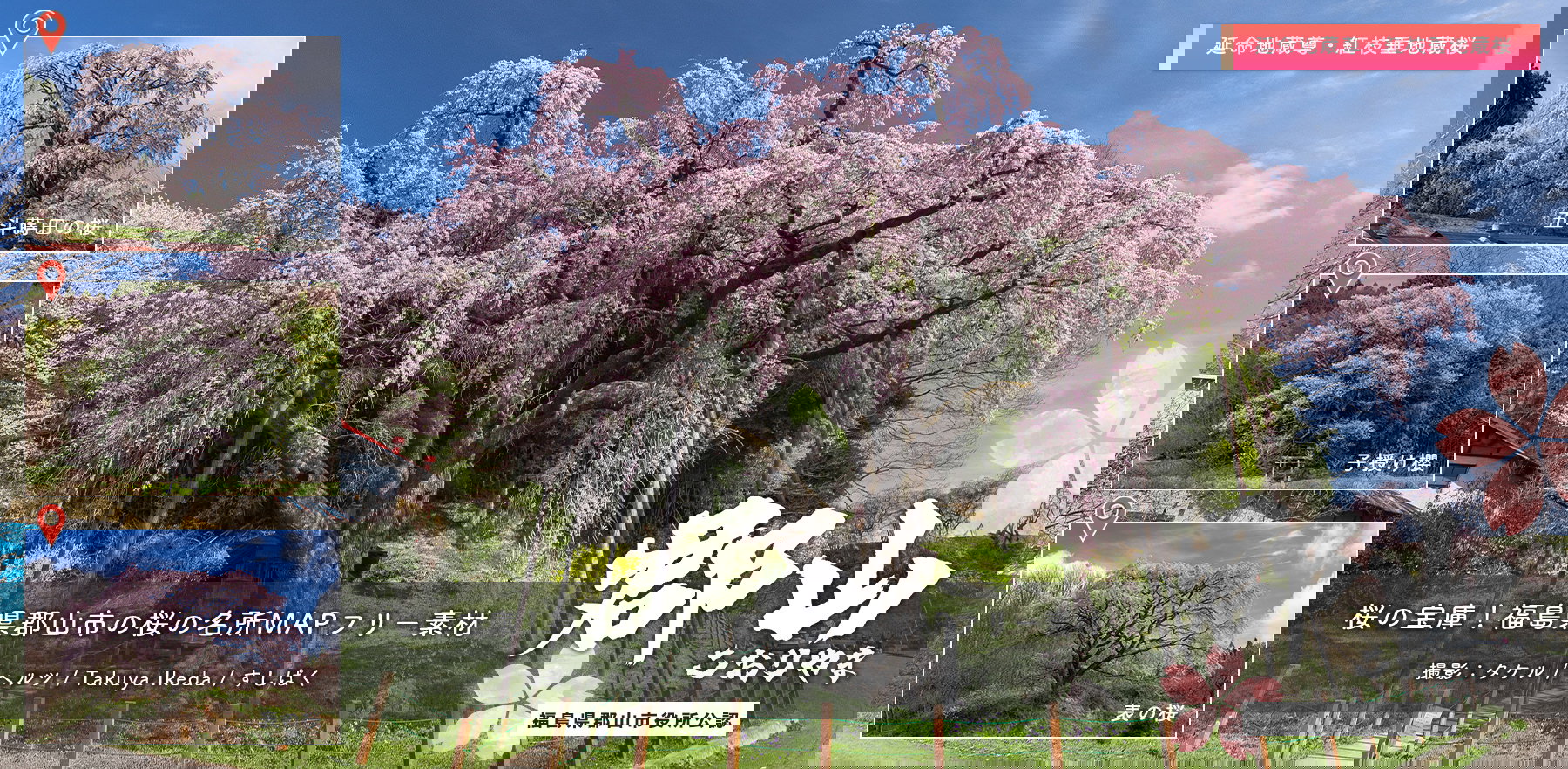桜の宝庫！福島県郡山市の桜の名所マップ写真素材