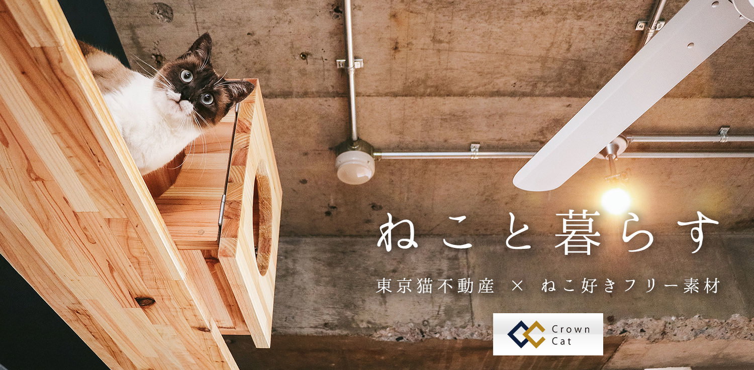 ねこ好き、ねこと暮らす。東京猫不動産の猫写真素材