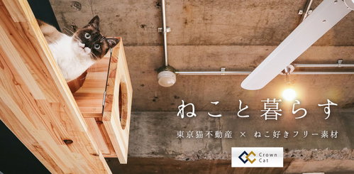 ねこ好き、ねこと暮らす。東京猫不動産の猫写真素材