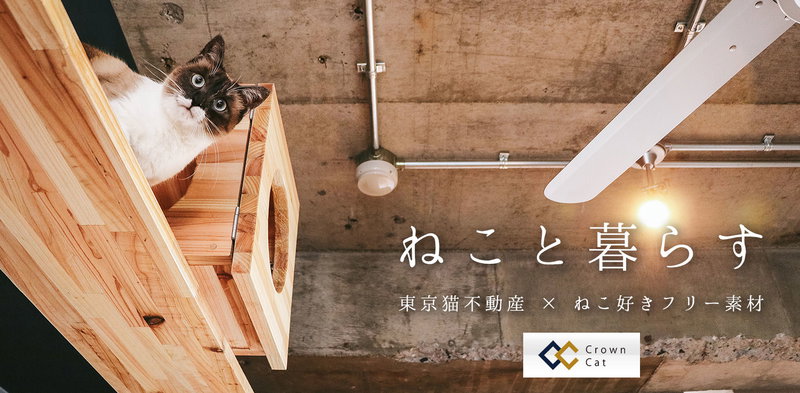 ねこ好き、ねこと暮らす。東京猫不動産の猫写真素材