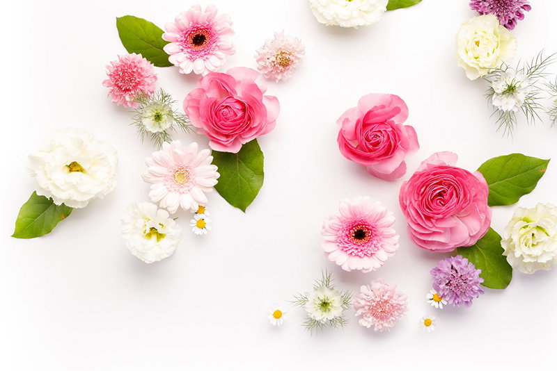 お花のストックフォトの写真素材