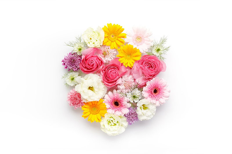 お花のラウンドの写真素材