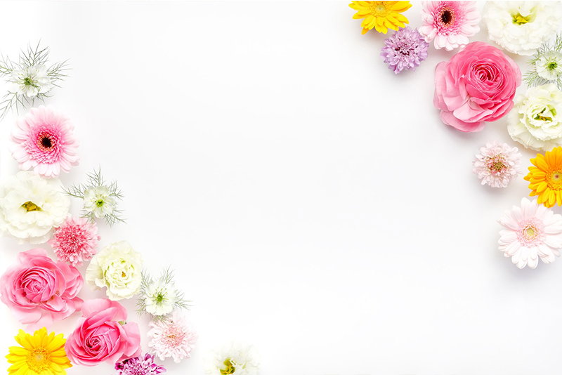 フレーム・背景に使いやすい薔薇や生花の写真素材