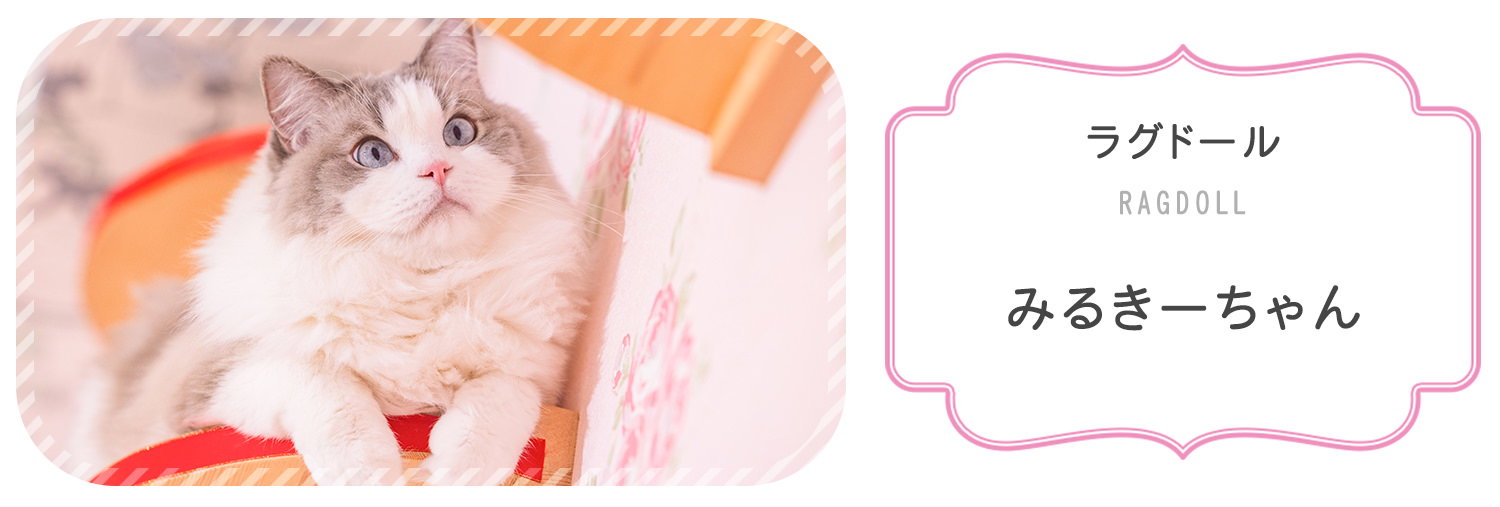 みるきーちゃん