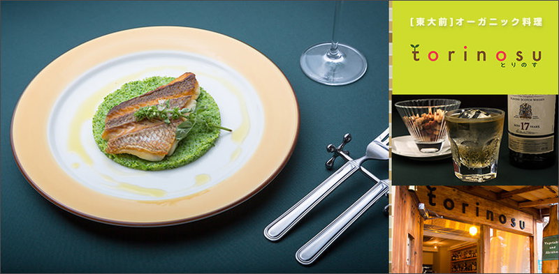 自然食・オーガニック料理店の写真素材