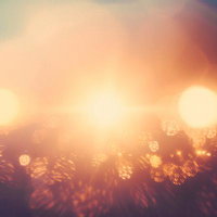 ぼやけた暖かい光が作る光漏れの風景、街灯と逆光のグラデーションの写真