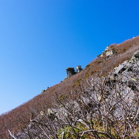 冬枯れの木々に覆われた日本百名山・岩木山の山頂の写真