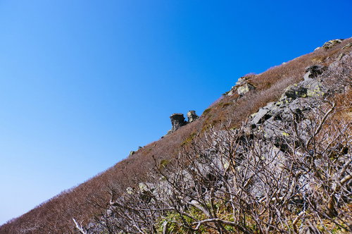 冬枯れの木々に覆われた日本百名山・岩木山の山頂