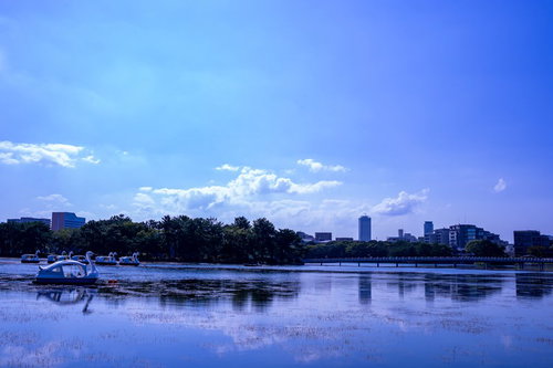 池に浮かぶスワンボートと青い空、白い雲の風景