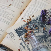 こぼれたドライフラワーと古書のページ～洋書から散る花々の写真