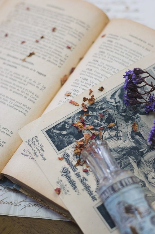 こぼれたドライフラワーと古書のページ～洋書から散る花々