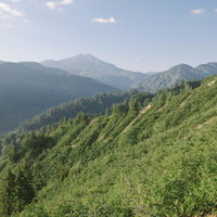 台倉山へ向かう道から見える燧ヶ岳と平ヶ岳の山並みの写真