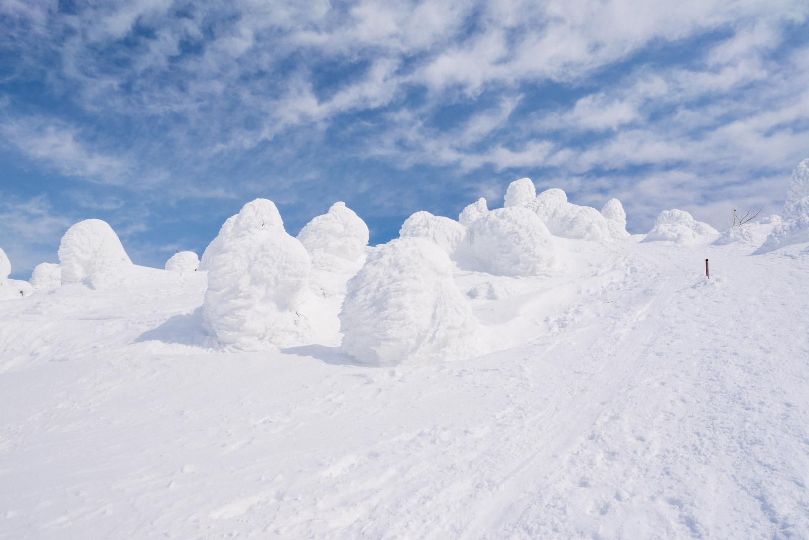 蔵王の樹氷が雪に覆われ群生する冬の山景色