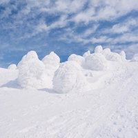 蔵王の樹氷がモコモコとかわいく雪に覆われた冬景色の写真