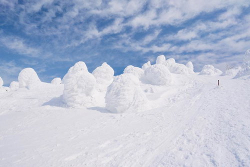 蔵王の樹氷がモコモコとかわいく雪に覆われた冬景色