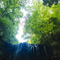 新緑に包まれる岡山県鏡野町の岩井滝と清流の渓谷風景の写真