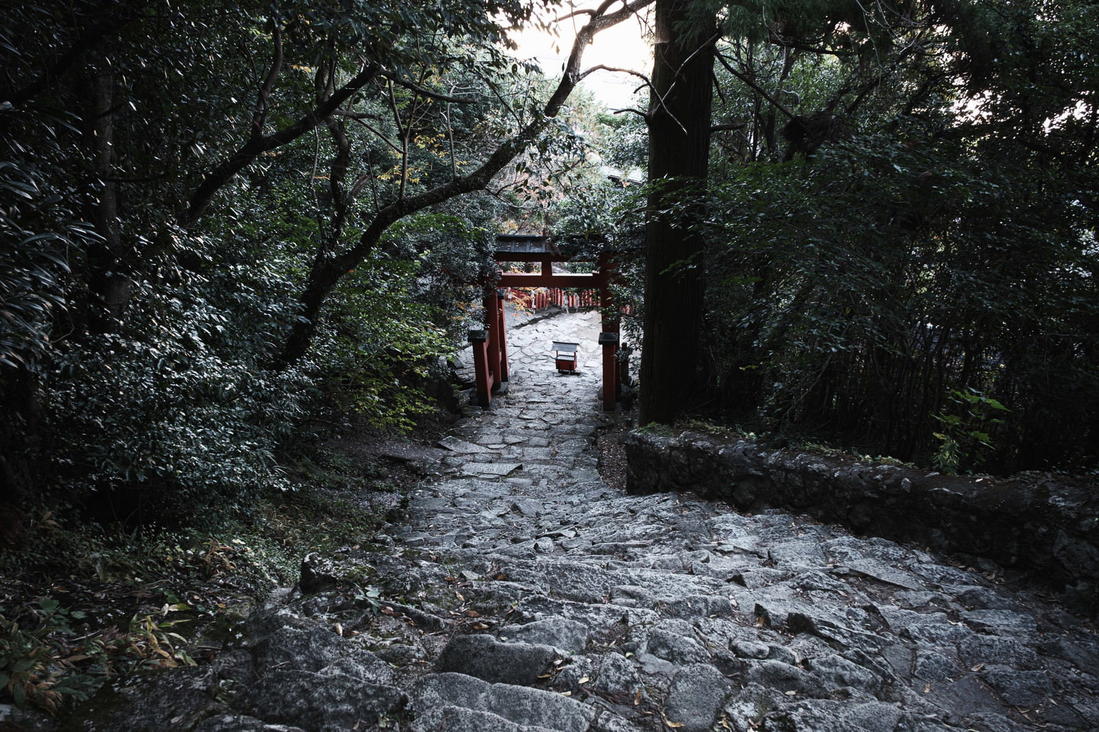 石段を登った先に立つ朱色の鳥居と緑豊かな境内の風景