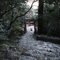 神倉神社の急な石段の先に見える朱色の鳥居の写真