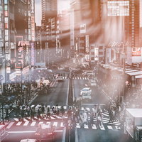 夕日の逆光に浮かぶ横断歩道を横断する人混みの写真