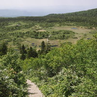 八甲田山の毛無岱から見下ろす登山道の眺めの写真