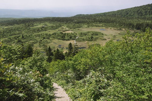 八甲田山の毛無岱から見下ろす登山道の眺め