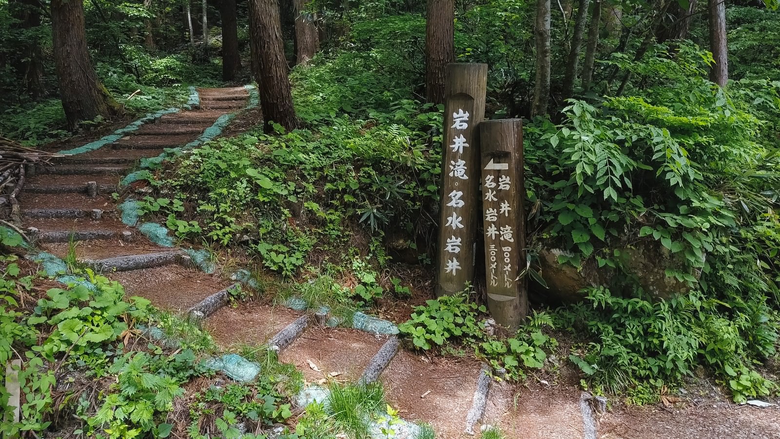 緑豊かな森の中に立つ岩井滝への案内看板