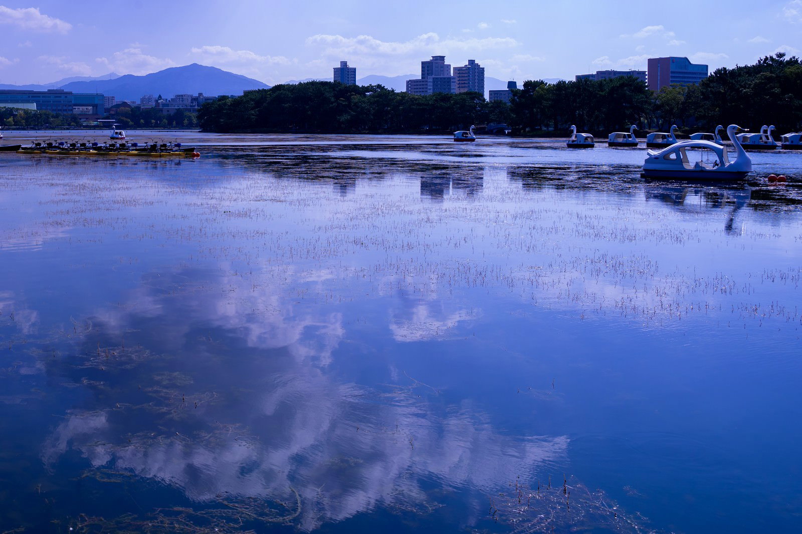 静かな湖面に青空と白い雲が反射し、白いスワンボートが浮かんでいる様子