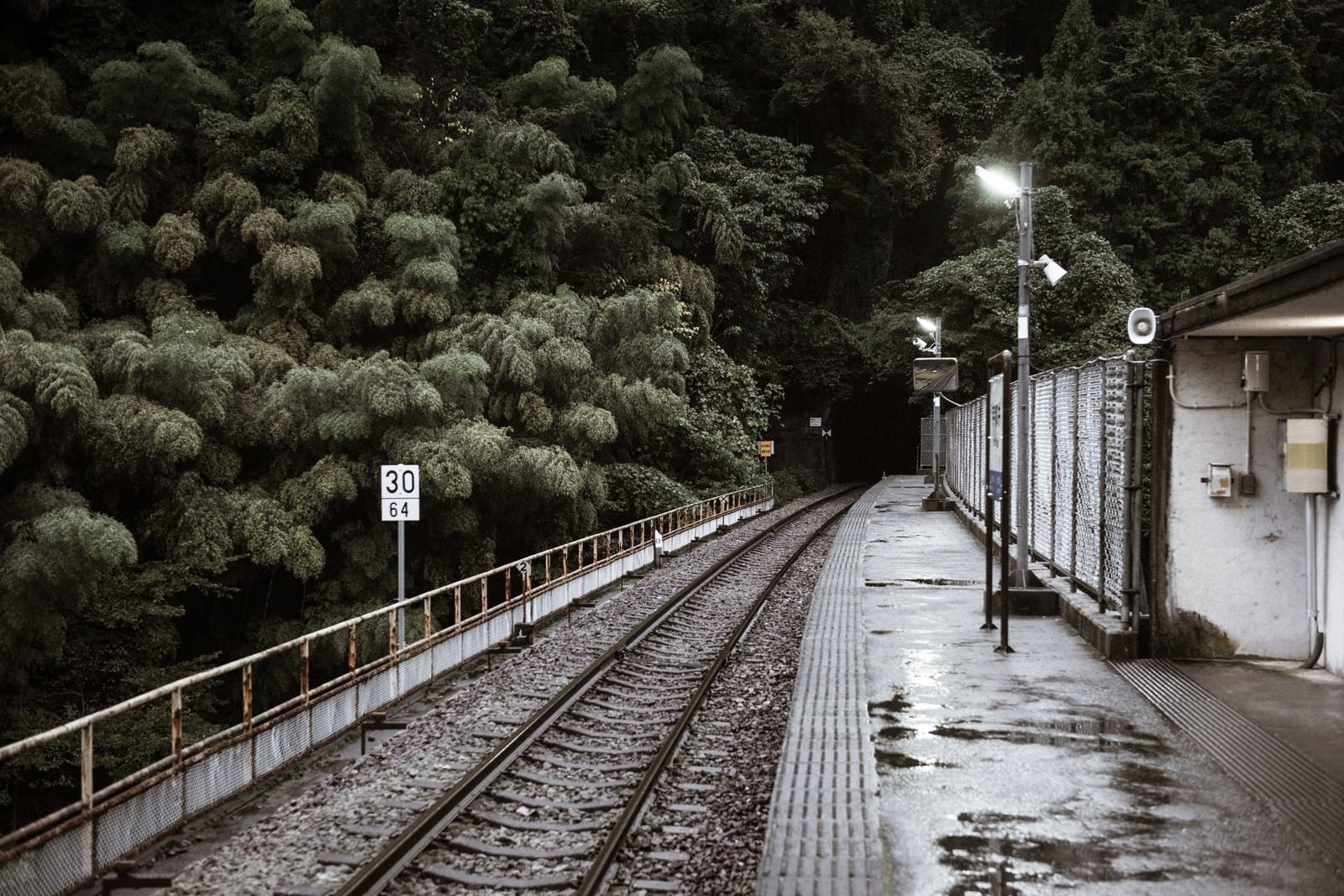 街灯に照らされた山間部の無人駅ホーム、雨に濡れた地面と単線の線路